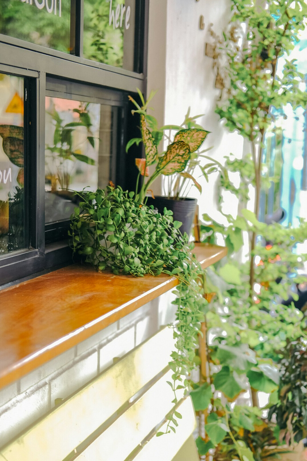 Bright reception desk with plants and natural light